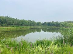 -东郊湿地公园