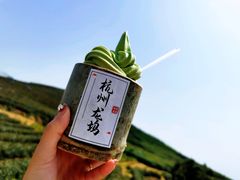 -龙坞茶村