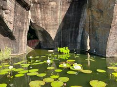 -广州莲花山旅游区