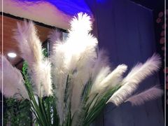 -山河屯铁锅炖(哈西站店)