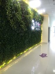 -静博士养生美容连锁