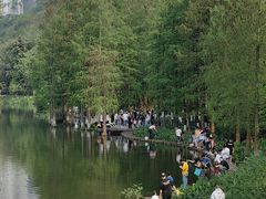 -重庆彩云湖湿地公园