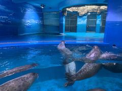 -青岛海底世界-水族馆