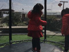 -小鱼草莓采摘园农家乐·小鱼餐厅