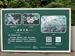 -福道