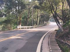 -铁山坪森林公园