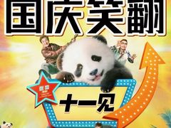 -万达影城(廊坊万达广场激光IMAX店)