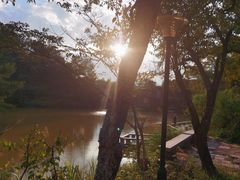 -仙店农庄(湖景农庄餐厅)