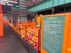 -极限PLAY运动娱乐新世界·团建派对表演休闲馆·室内高空游乐园