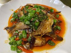 干烧耗儿鱼-洪霞餐馆