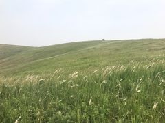 -恋山坝上草原