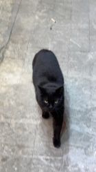 -Yestar杭州艺星医疗美容医院