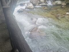 -炎陵县神农谷国家森林公园