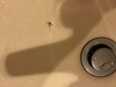 -上海静安宾馆