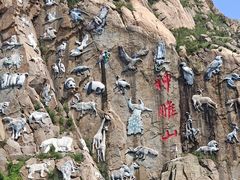 -西霞口神雕山野生动物世界