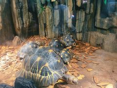 -大连森林动物园