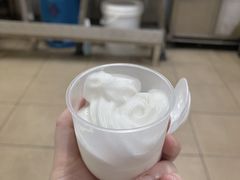-洪馨椰子