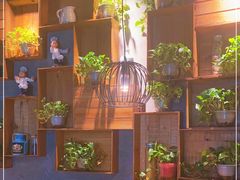 -比格比萨自助(花园路店)