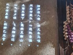 -桃源人家(东门店)