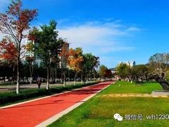 -陈至马正宗兰州牛肉面(韩乐坊店)