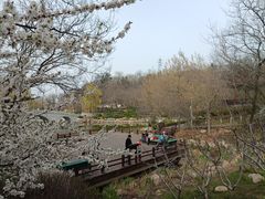 -大连植物园