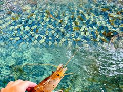 -嘻虾·钓虾工场(东莞总店)