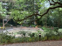 -香港大学