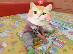 -金宝贝早教(南山花园城店)