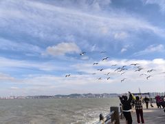 -悦海公园