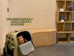 -阿荣24H宠物医院·综合型转诊中心·CT·核磁影像中心