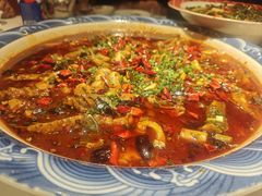 -新概念来凤鱼(璧山店)