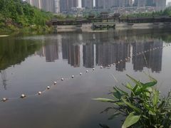 -重庆彩云湖湿地公园