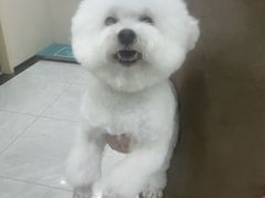 -安安宠医宠物医院·异宠·犬猫内科(岳阳分院)