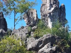 -千岛湖石林
