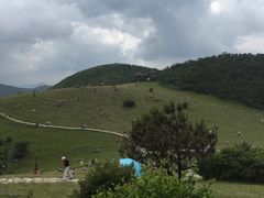 -永泰中国云顶
