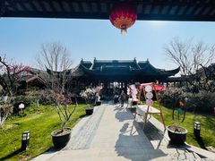 -上海海湾国家森林公园