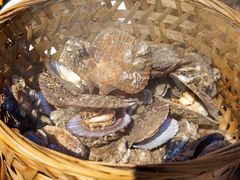 高压锅竹笼扇贝-蚝堡海鲜·威海菜·海肠捞饭·烧烤·亚洲吃蚝公司(幸福门店)