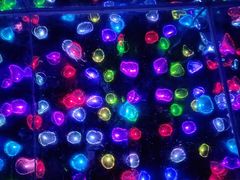 -武汉5D星空错觉艺术馆(中心百货店)