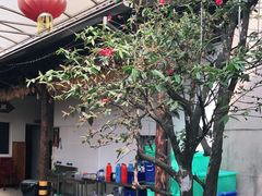 -李东农庄(中南百草园地标店)