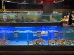 -阿伟海鲜楼·福建菜(延寿店)