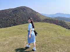 -大姆山草场