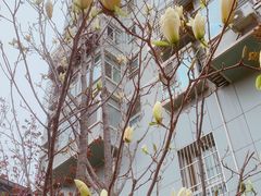 -隆福寺小吃店(东四店)