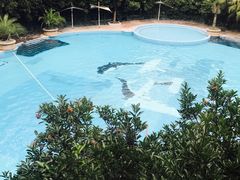 -碧涛阁·泡泡海洋·汤泉洗浴(王府花园店)