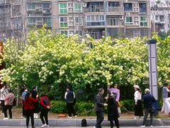 -大龙山(地铁站)