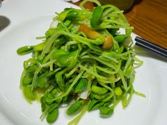 清炒大豆苗-沪上馨和小馆•海派上海菜(陆家浜路店)