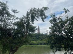 -顺峰山公园