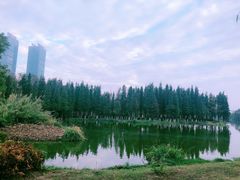 -艾溪湖湿地公园