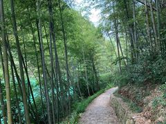 -莫干山风景区