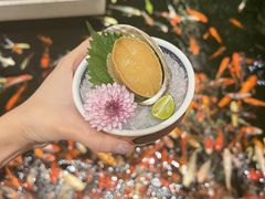 -龙悦湾酒家·八阵鱼生·渔人码头店