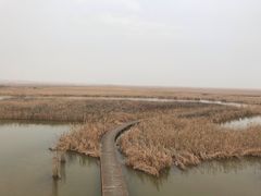 -盐城丹顶鹤湿地生态旅游区